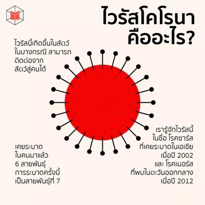 ร่างกายของมนุษย์