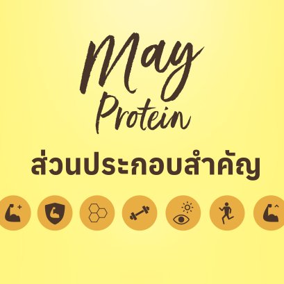 ใน MayProtein มีอะไรบ้าง