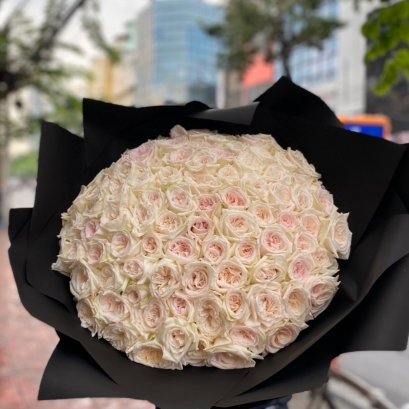 WOW 100 English Roses