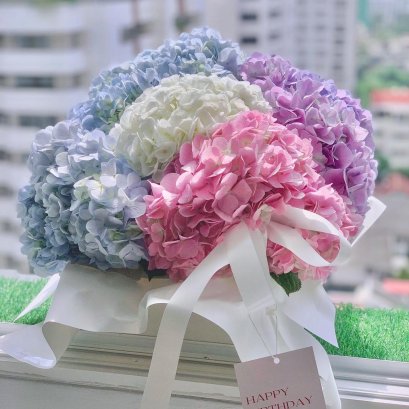 Rainbow (L) Hydrangea FlowerBox