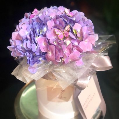 Mini Hydrangea Flower Box