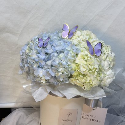 Sky Hydrangea Flower Box
