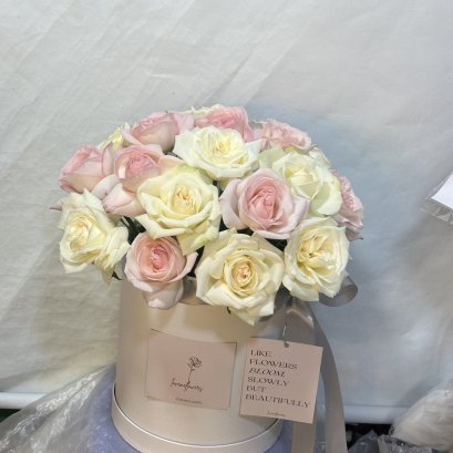 20 English White and Pink Roses