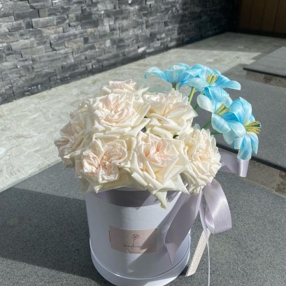 Rose Tulip Flowerbox