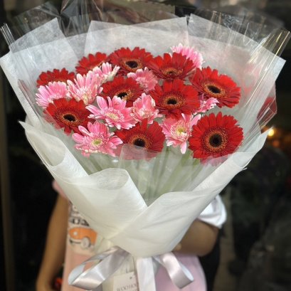 Gerbera Two-Tone