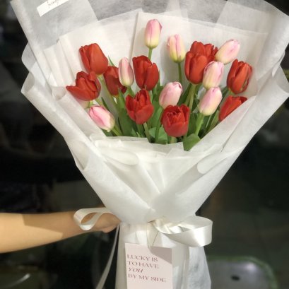 20 Tulips