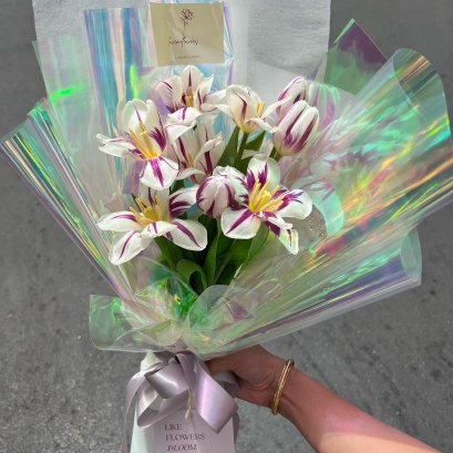 10 Purple Tulips