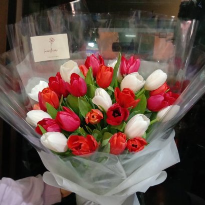 30 Tulips Red and White Clear Wrapping