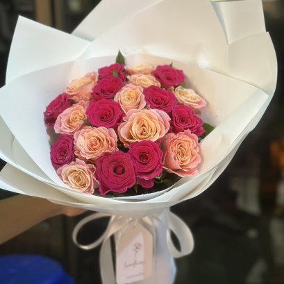 20 Majenta and Ombre Rose