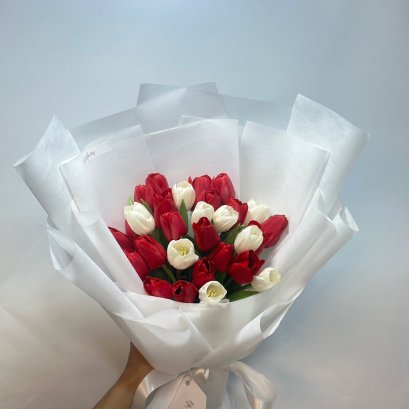 30 Tulips Red and White