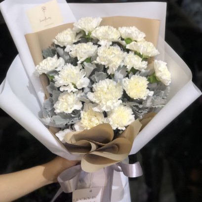 White Carnation with Snowleaves