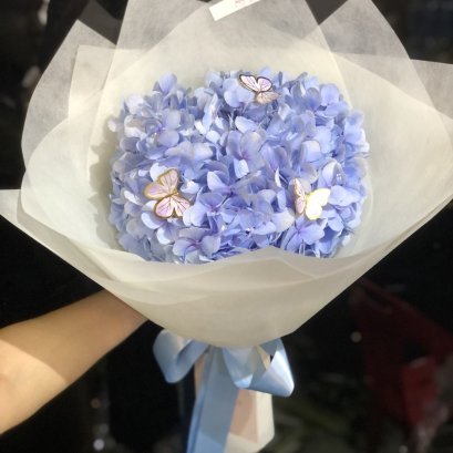 Mini Hydrangea Blue with Butterfly