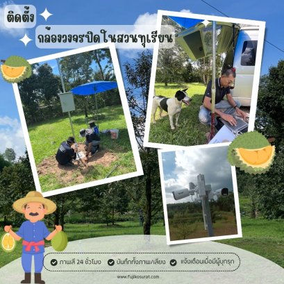 ติดตั้งกล้องวงจรปิด ในสวนทุเรียน