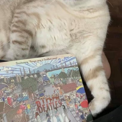 บทวิจารณ์ The THAI Beatles โดย P'O Niammeesri