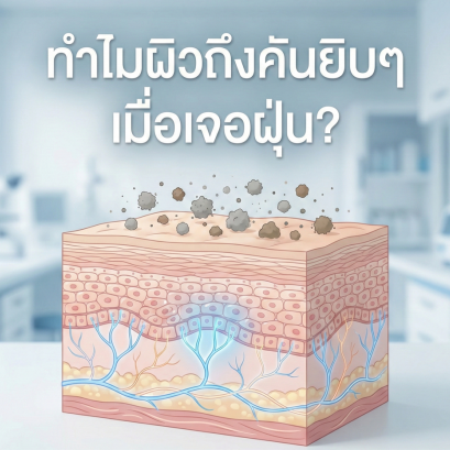 ทำไมผิวถึงคันยิบๆ เมื่อเจอฝุ่น? เจาะลึก SymSitive® สารหยุดสัญญาณแสบแดงที่ต้นตอเส้นประสาท
