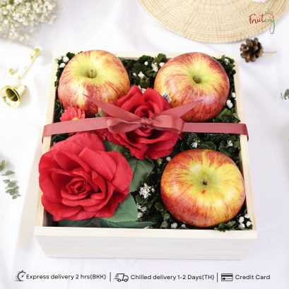 WX17 Envy Apple Wood gift box