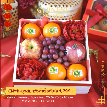 CNY-11 : ชุดสมหวังสำเร็จดั่งใจ