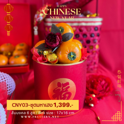 CNY-03  : ชุดมหาเฮง
