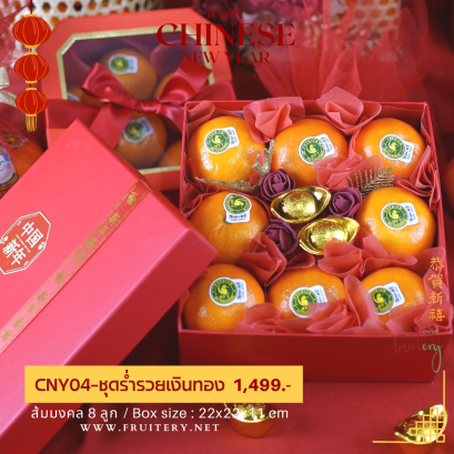 CNY-04  : ชุดร่ำรวยเงินทอง (กล่องสีแดง/ทอง/เงิน)