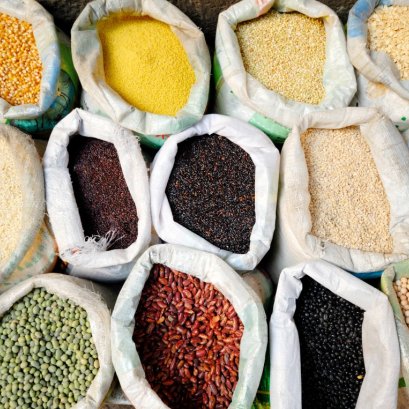 คู่มือหาปริมาณเมล็ดพันธุ์ที่ต้องใช้ และอายุเก็บเกี่ยว