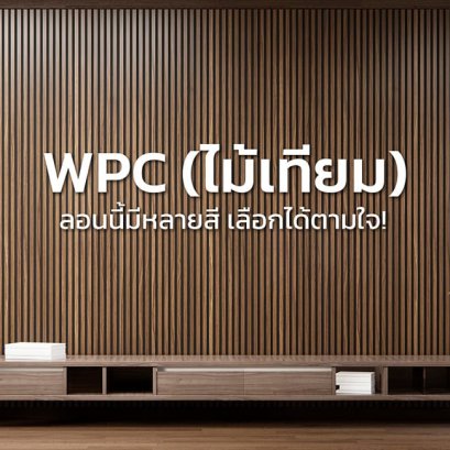 ไม้เทียมคืออะไร? เทียบชนิดไม้เทียมแบบต่างๆ (WPC/PVC/FOAM/ไม้สังเคราะห์)
