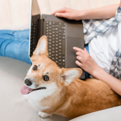 ทาวน์โฮม ทางเลือกบ้านสำหรับคนรุ่นใหม่ที่อยากเลี้ยงสัตว์