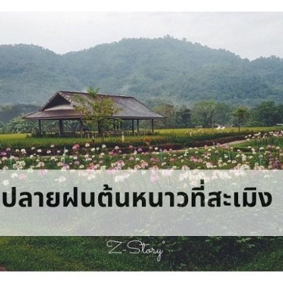 ปลายฝนต้นหนาวที่สะเมิง