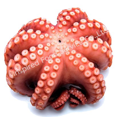 ทาโกะ (หัวปลาหมึกยักษ์) ราคากิโลละ 720 บาท 