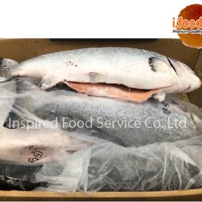 ปลาแซลมอลชีลีแช่แข็ง