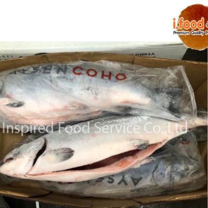 ปลาแซลมอลโคโฮ่แช่แข็ง (ยกลัง)**ติดต่อสอบถามราคา