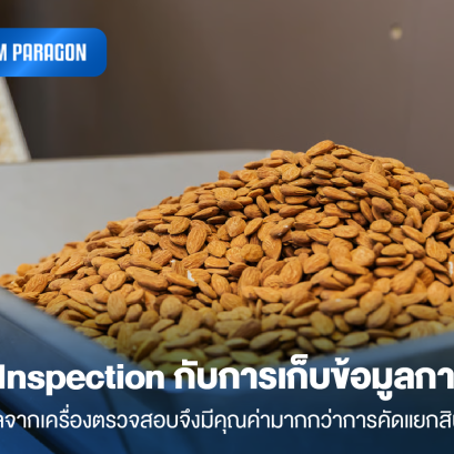 ระบบ Inspection กับการเก็บข้อมูลการผลิต: ทำไมข้อมูลจากเครื่องตรวจสอบจึงมีคุณค่ามากกว่าการคัดแยกสินค้า