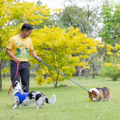 "เมเจอร์ ดีเวลลอปเม้นท์" ผนึก "กทม." ต่อยอด MAJOR PETSCAPE นำร่องสวนป่าเบญจกิติ