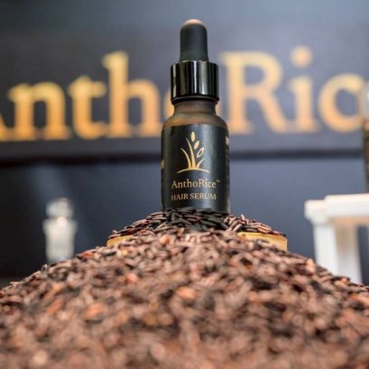 หมดปัญหาเรื่องผม... จุฬาฯ -มหิดล เปิดตัว  AnthoRice Complex นวัตกรรมเซรั่มบำรุงรากผมจากสารสกัดข้าวไรซ์เบอร์รี่อินทรีย์ของไทย