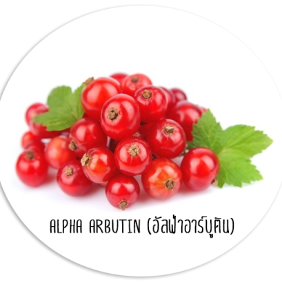 อัลฟ่าอาร์บูติน (Alpha Arbutin)