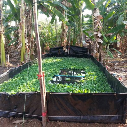 การเลี้ยงปลาดุก ด้วยบ่อพลาสติกขึ้นทรงสำเร็จรูป จากเกษตรพลัส