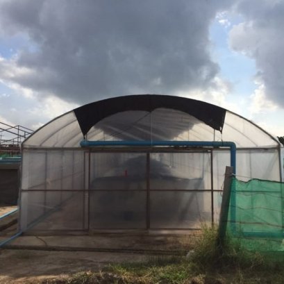 โรงเรือนสำหรับการเพาะสัตว์น้ำ โดยใช้ผืนพลาสติก LLDPE 