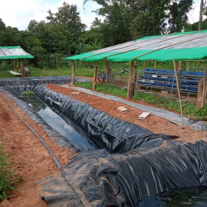 บ่อน้ำรูปทรง ตัว S ปูพลาสติก LDPE แบบผืนเดียว