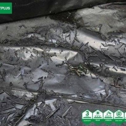 พลาสติก LDPE ไม่สะสมเชื้อโรค