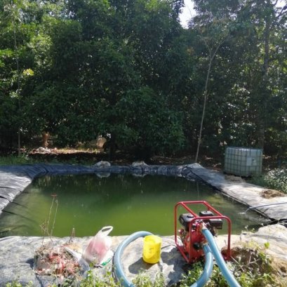 บ่อพักน้ำที่อยู่กลางแจ้ง หรือตามร่องสวน ใต้ต้นไม้ขนาดใหญ่