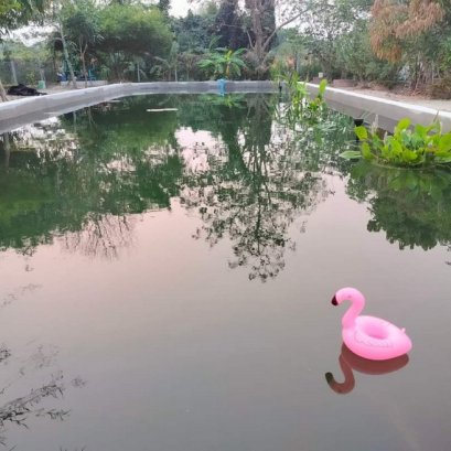 บ่อน้ำจัดสวน ปูรองด้วยผืนพลาสติก LDPE ปิดขอบทั้งหมดด้วยปูน