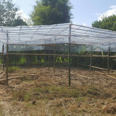 โรงเรือนที่สร้างมาจากโครงสร้างไม้ จังหวัดเชียงราย