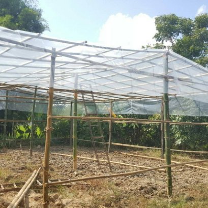 โรงเรือนปลูกต้นไม้ โดยใช้โครงสร้าง ง่าย ๆ จากไม้ไผ่