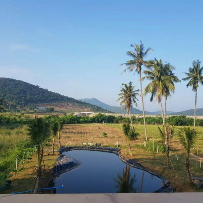 บ่อจัดสวน ฟรีฟอร์ม LDPE 300 ไมครอน จ.ประจวบคีรีขันธ์