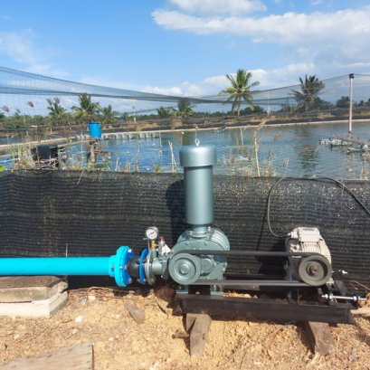 ปั้มลม Root Blower ขนาด 2.5B นิ้ว (ใหญ่) เปิดทอสอบก่อนใช้งาน