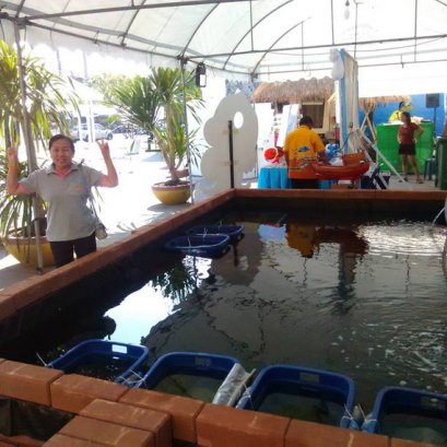 งานแสดงพันธุ์สัตว์น้ำงานประจำปีชลบุรี เมษายน 59