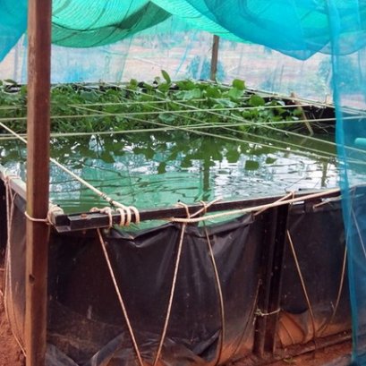 บ่อพลาสติก LDPE ขึ้นทรงสำเร็จรูป ใช้งานสำหรับเก็บน้ำ