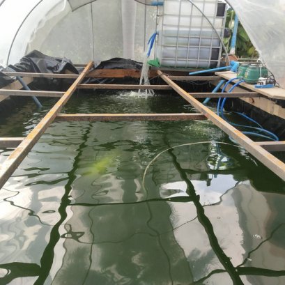 ปูบ่อเก็บน้ำกลางแสงที่โล่งแจ้งแล้ว ก็ใช้งานในใต้หลังคาอีก