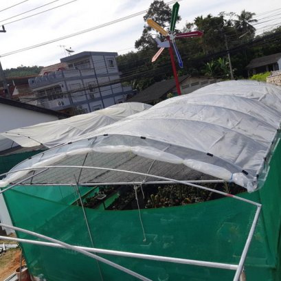 เปลี่ยนผืนพลาสติก หลังคาโรงเรือนปลูกต้นไม้ จ.สุราษฎร์ธานี