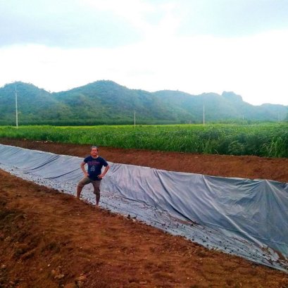 สะดวกพื้นที่บ่อเป็นแนวยาว ไปตามพื้นที่ของที่ดิน