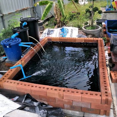 บ่อเลี้ยงปลาปูพลาสติก LDPE อิฐประสาน เห็นธรรมดา ที่ไม่ธรรมดา